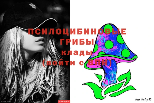 дурь Бронницы