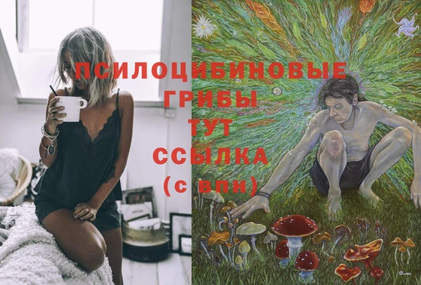 дурь Бронницы
