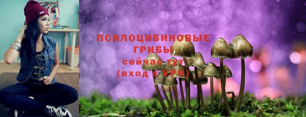 твердый Бугульма